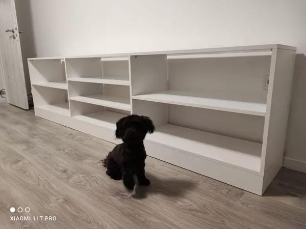 TV ÁLLVÁNY